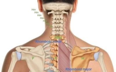 Rýchla Fyzioterapia13